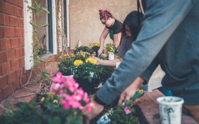 Urban Gardening: Die Stadt ist unser Garten